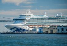 샌프란시스코 출항 루비 프린세스호 노로바이러스 집단 발생 Princess Cruise line's Ruby Princess docks in San Francisco Bay in 2021. iStock_9news