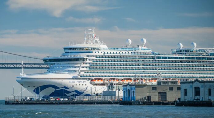 샌프란시스코 출항 루비 프린세스호 노로바이러스 집단 발생 Princess Cruise line's Ruby Princess docks in San Francisco Bay in 2021. iStock_9news