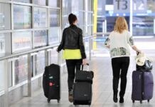 호주 공항 ‘종이 입국 신고서’ 사라진다… 디지털 전환 본격화
