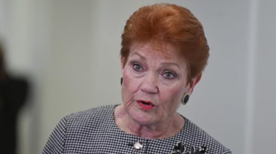 Pauline Hanson said she still did not like mardi gras. Picture NewsWire Martin Ollman_news.com.au