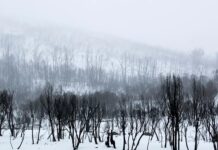 NSW 코지우스코 국립공원서 고립 등산객 3명 극적 구조… 경찰 “철저한 사전 준비 당부” Police have warned hikers to be prepared after three men had to be rescued from a NSW National Park in bad weather. Getty_9news