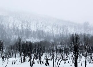 NSW 코지우스코 국립공원서 고립 등산객 3명 극적 구조… 경찰 “철저한 사전 준비 당부” Police have warned hikers to be prepared after three men had to be rescued from a NSW National Park in bad weather. Getty_9news