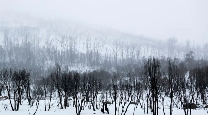NSW 코지우스코 국립공원서 고립 등산객 3명 극적 구조… 경찰 “철저한 사전 준비 당부” Police have warned hikers to be prepared after three men had to be rescued from a NSW National Park in bad weather. Getty_9news