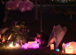 시드니인근서 실종 사망한 하이커 릴리 호퍼 추모 물결이어져 A candlelight vigil has been held to remember hiker Lily Hooper. 9News