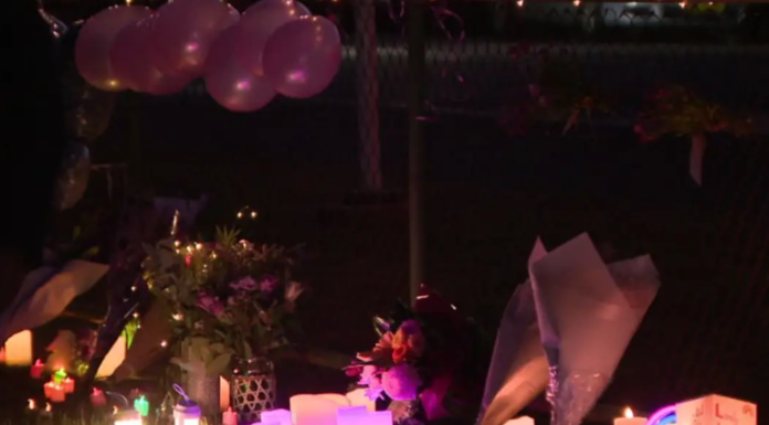 시드니인근서 실종 사망한 하이커 릴리 호퍼 추모 물결이어져 A candlelight vigil has been held to remember hiker Lily Hooper. 9News