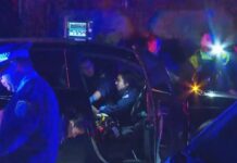 시드니 그린에이커서 18세 청소년 총격사건 발생 Police believe the teenager was shot in a nearby street and driven to Mimosa Road. Today_9news