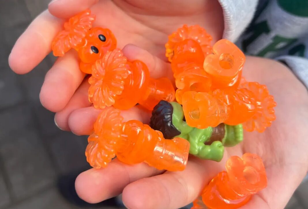 9.Families were able swap Ooshies and hopefully complete their collections on August 8. Jo Abi_9news Families were able swap Ooshies and hopefully complete their collections on August 8. Jo Abi_9news