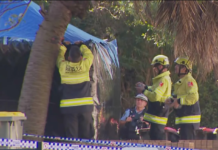 시드니 오번 아파트 쓰레기통에서 갓 태어난 아기가 숨진 채 발견 A police investigation is under way after a baby’s body was discovered in Sydney’s west. 9News