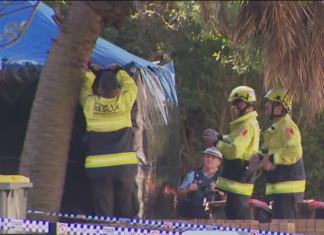 시드니 오번 아파트 쓰레기통에서 갓 태어난 아기가 숨진 채 발견 A police investigation is under way after a baby’s body was discovered in Sydney’s west. 9News