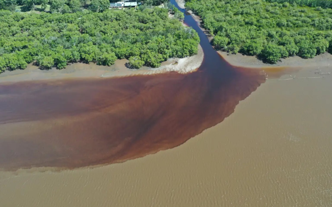 Creek outflow on the lower floodplain of the Richmond River, found to be heavy with monosulfidic black ooze. John Larsson_9news