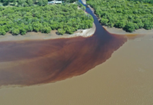 NSW 리치먼드강 살리기 위한 복구 작업 착수 Creek outflow on the lower floodplain of the Richmond River, found to be heavy with monosulfidic black ooze. John Larsson_9news