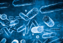 러시아 이르쿠츠크, 연구소 직원 흑사병 유출 의혹 The broken vial supposedly contained a sample of the pneumonic plague._news.com.au