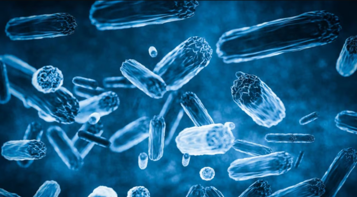 러시아 이르쿠츠크, 연구소 직원 흑사병 유출 의혹 The broken vial supposedly contained a sample of the pneumonic plague._news.com.au