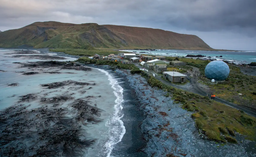 Macquarie Island is home to several threatened and endangered species of plants, birds, and marine mammals. Greg Stone_9news