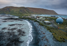 치명적 조류인플루엔자, 호주 남극해 맥쿼리섬까지 확산… 섬 최초 발생 Macquarie Island is home to several threatened and endangered species of plants, birds, and marine mammals. Greg Stone_9news