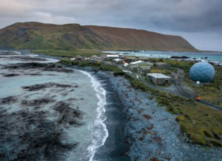 치명적 조류인플루엔자, 호주 남극해 맥쿼리섬까지 확산… 섬 최초 발생 Macquarie Island is home to several threatened and endangered species of plants, birds, and marine mammals. Greg Stone_9news