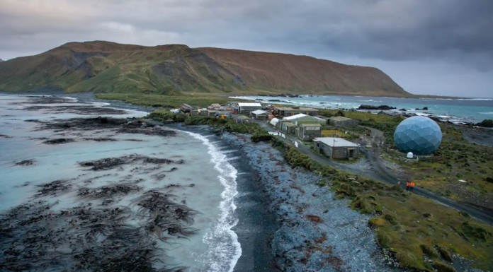 치명적 조류인플루엔자, 호주 남극해 맥쿼리섬까지 확산… 섬 최초 발생 Macquarie Island is home to several threatened and endangered species of plants, birds, and marine mammals. Greg Stone_9news